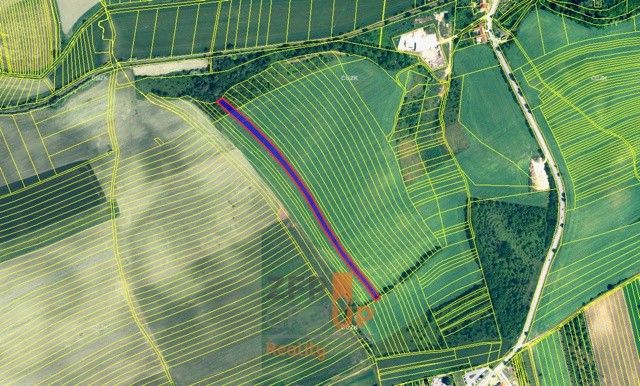 Zahrady, Žarošice, 696 34, 6 755 m²