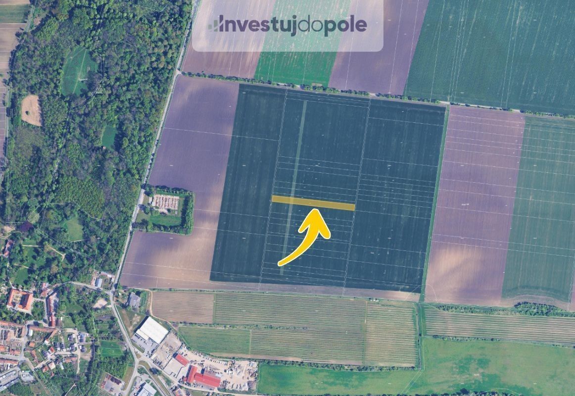 Prodej zemědělský pozemek - Sokolnice, 3 674 m²