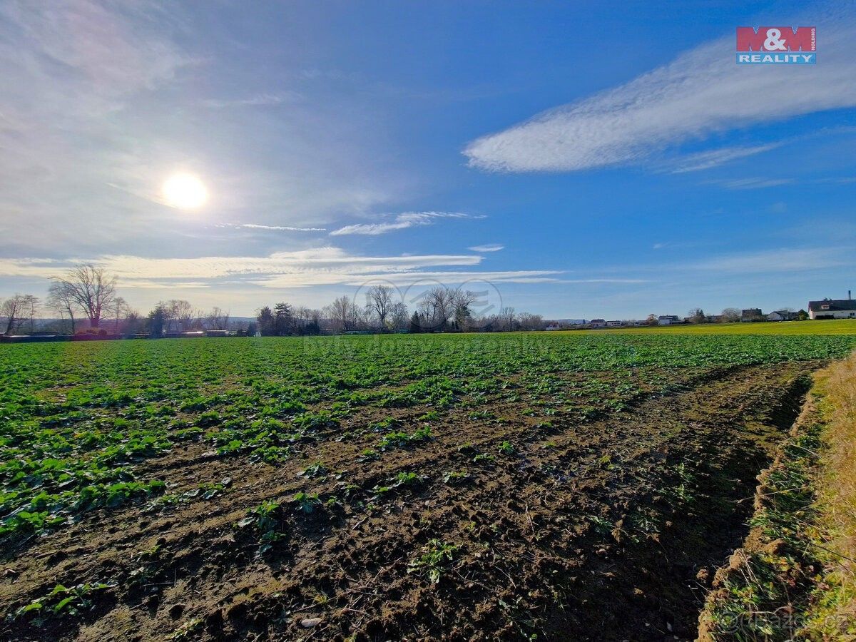 Ostatní, Opava, 747 06, 4 203 m²