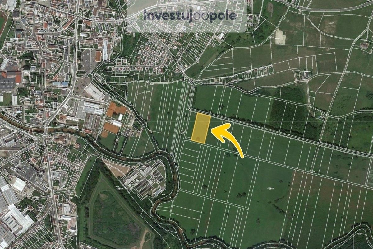 Prodej louka - Dvůr Králové nad Labem, 9 953 m²
