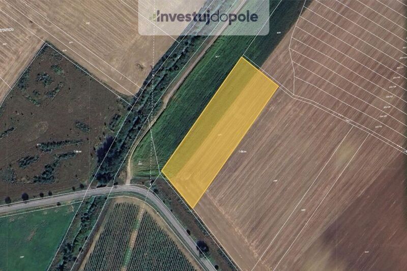 Zemědělské pozemky, Milotice u Kyjova, 696 05, 15 874 m²