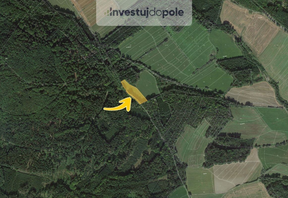 Prodej louka - Chlumská, Ježovy, 6 683 m²