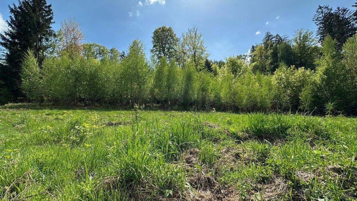 Prodej pozemek pro bydlení - Červený Kostelec, 549 41, 32 970 m²