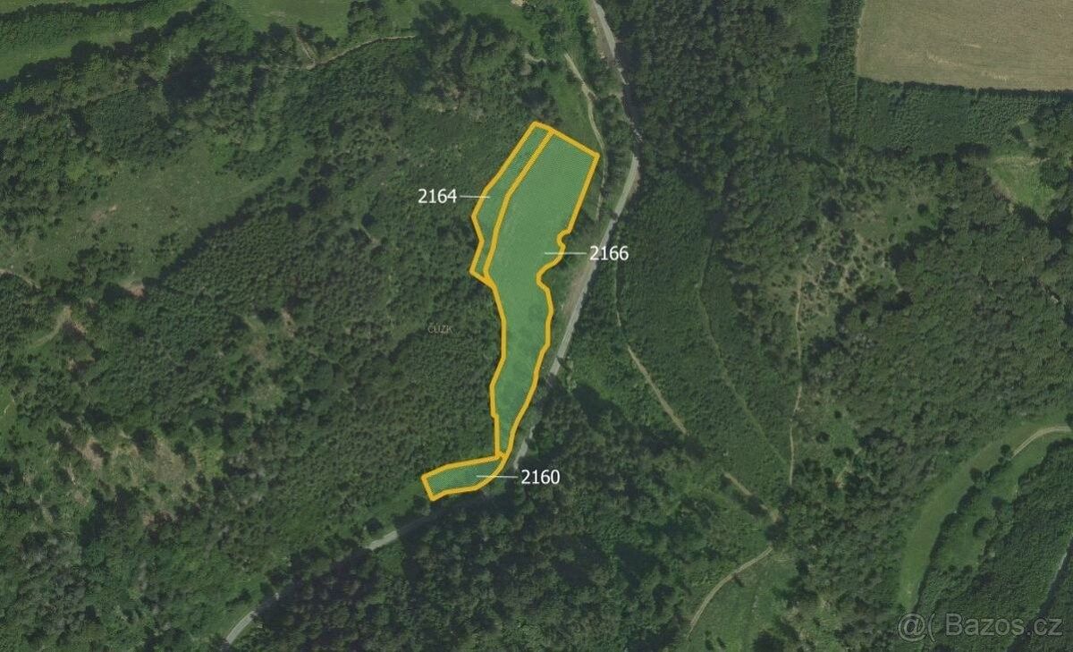 Prodej zemědělský pozemek - Moravská Třebová, 571 01, 26 370 m²