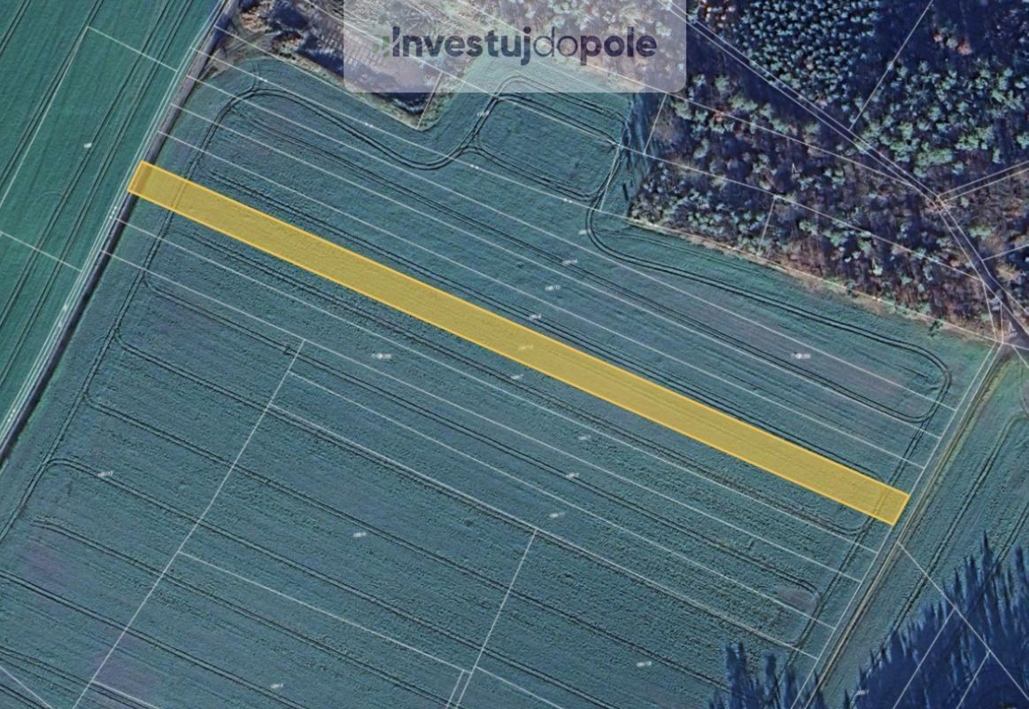 Zemědělské pozemky, Dalešice, Bítouchov, 5 754 m²
