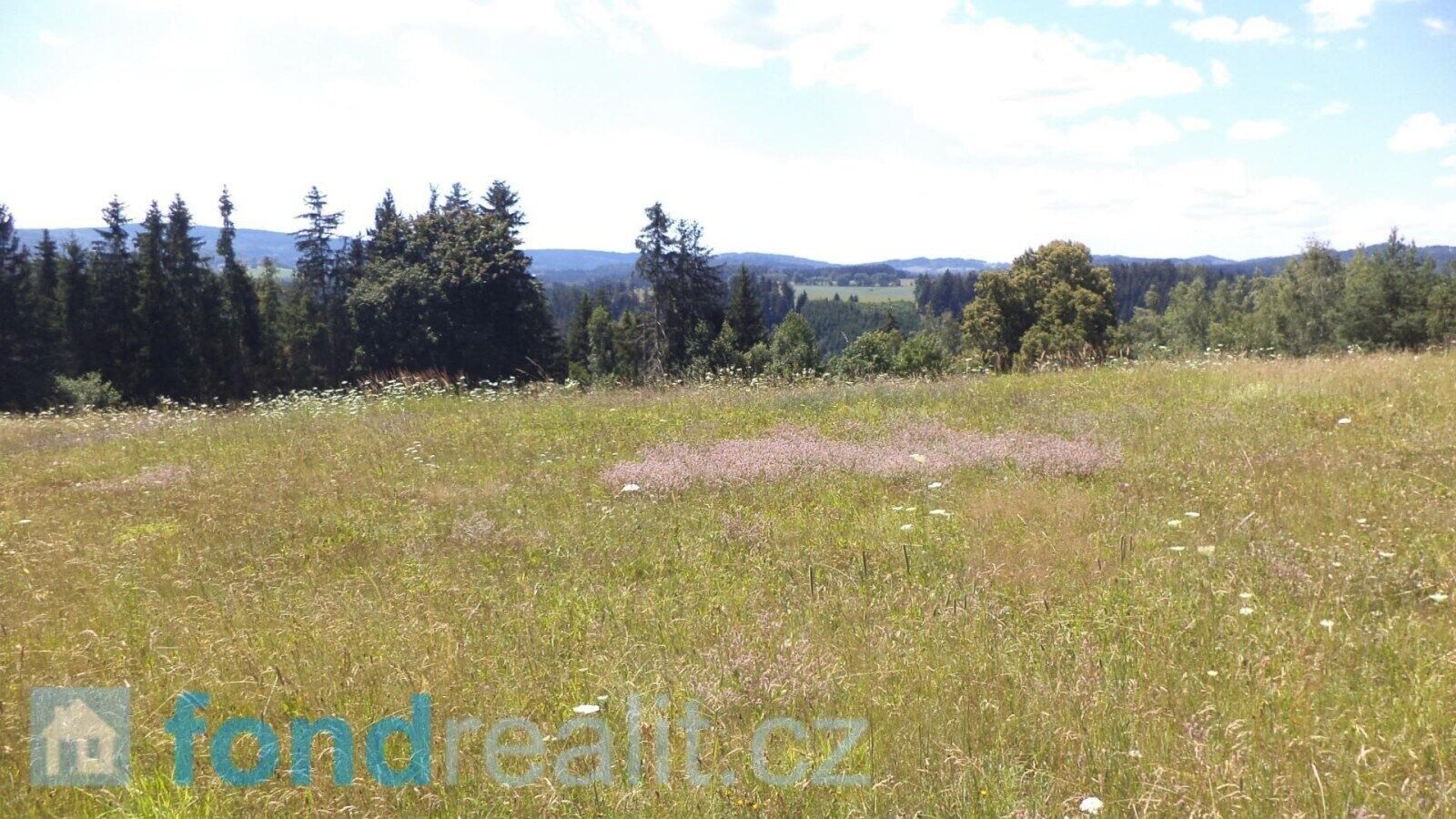 Prodej zemědělský pozemek - Všeměry, Přídolí, 13 471 m²