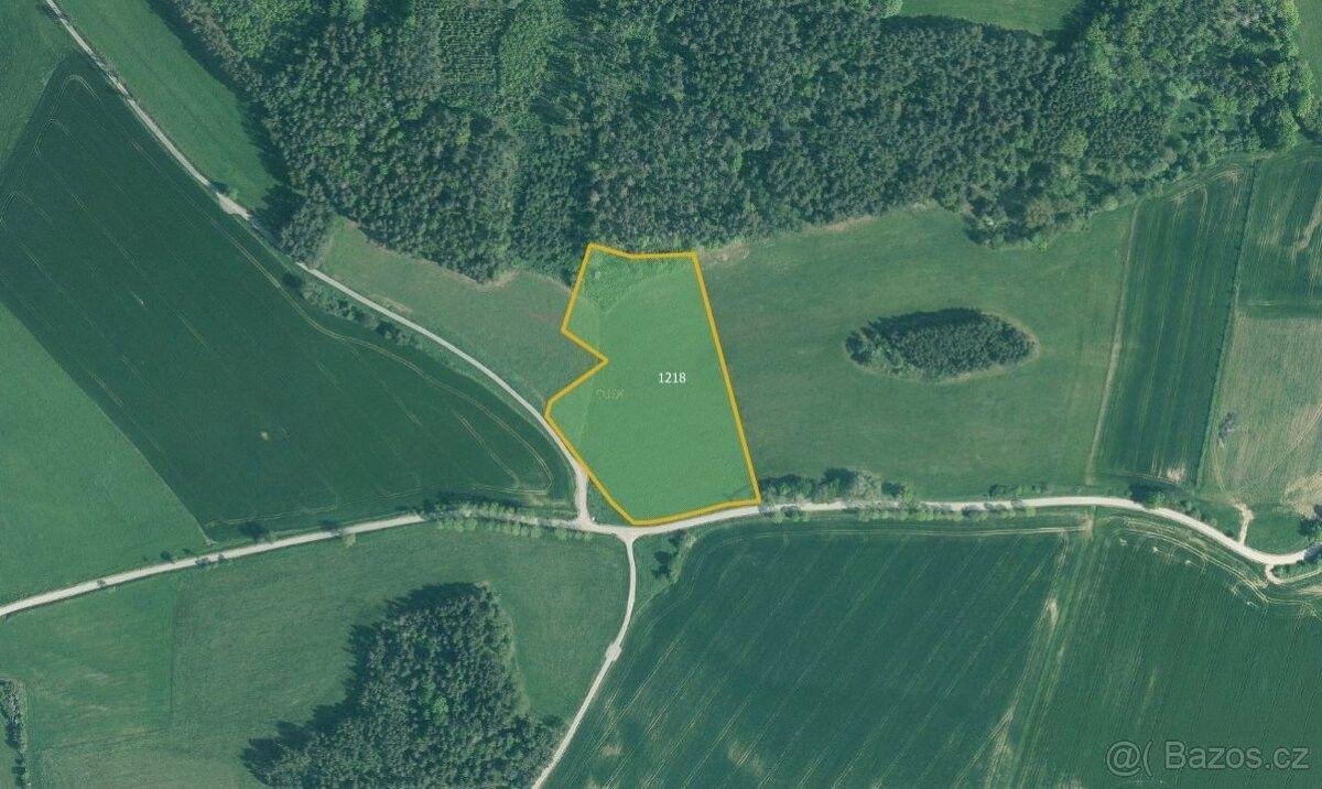 Prodej zemědělský pozemek - Strakonice, 386 01