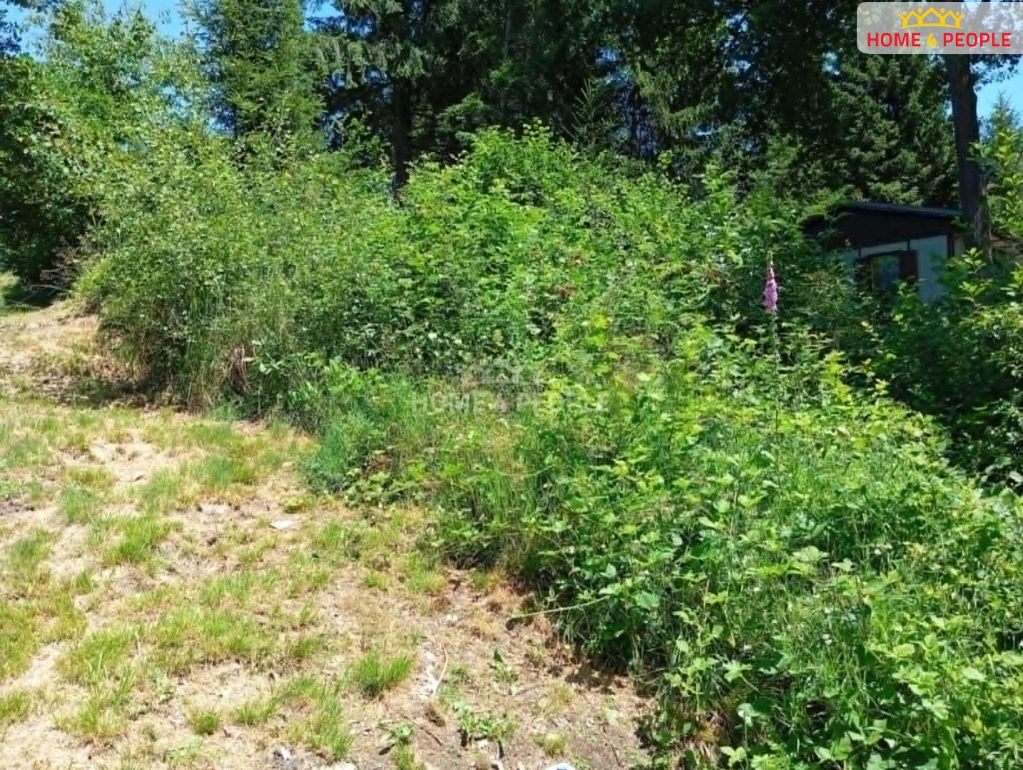 Prodej pozemek - Jivno, 194 m²