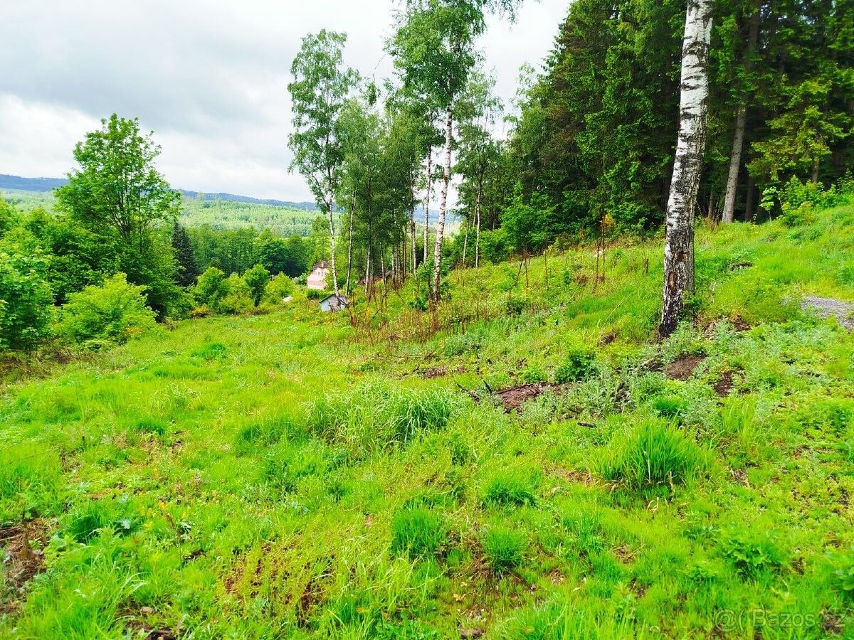 Prodej zahrada - Strmilov, 378 53, 723 m²