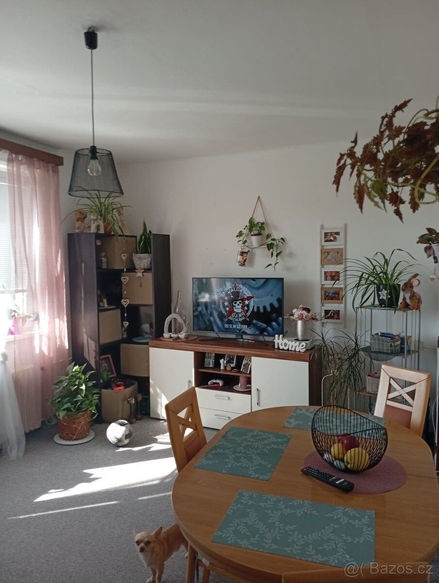 Pronájem byt 2+kk - Rychnov nad Kněžnou, 516 01, 41 m²