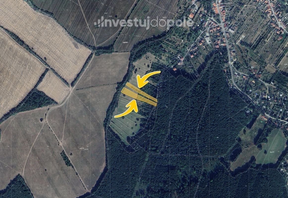 Prodej louka - Radějov, 3 313 m²