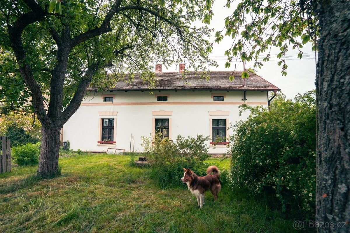 Ostatní, Dobřany, 334 41, 135 m²