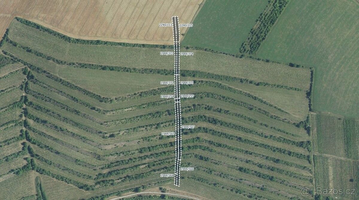 Ostatní, Klobouky u Brna, 691 72, 4 640 m²