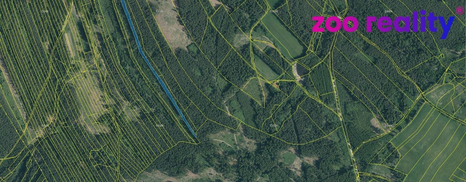Prodej les - Deštná, 4 056 m²