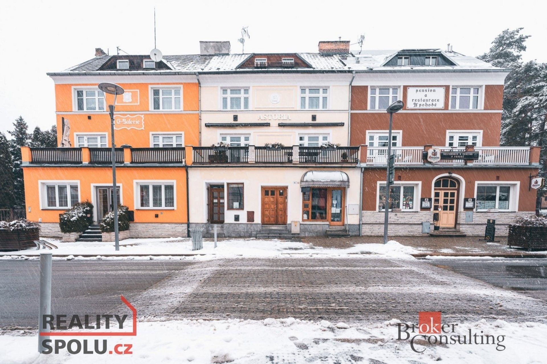 Rodinné domy, Lázeňská, Konstantinovy Lázně, 250 m²