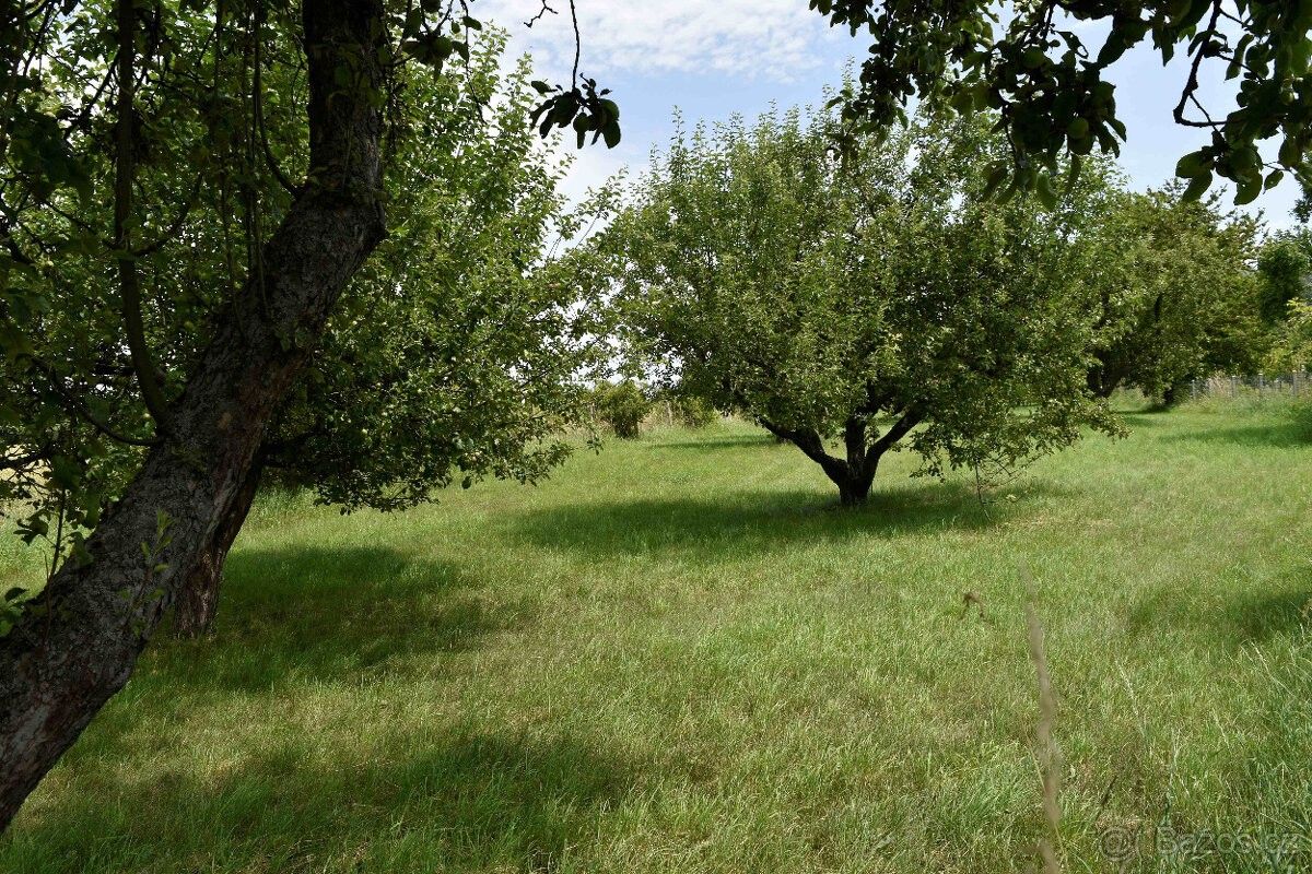 Prodej zahrada - Rychnovek, 552 25, 5 122 m²