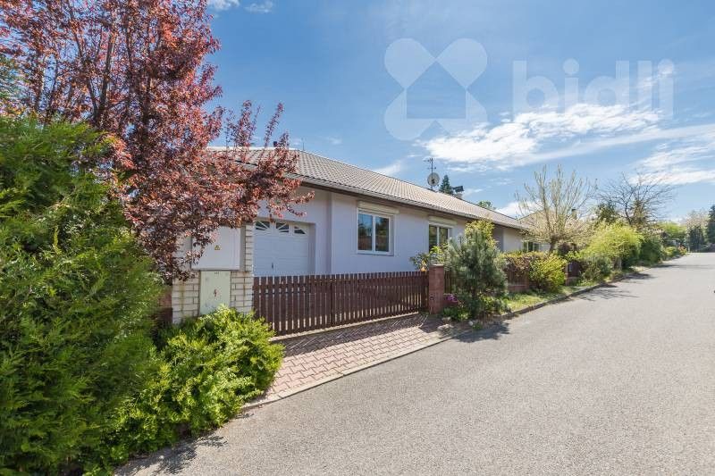 Ostatní, U Menhiru Ii, Zbuzany, 190 m²