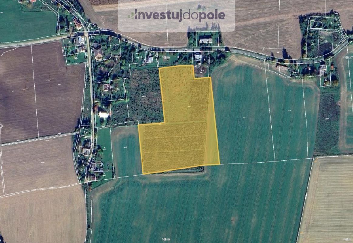 Zemědělské pozemky, Kolnovice, Mikulovice, 28 555 m²