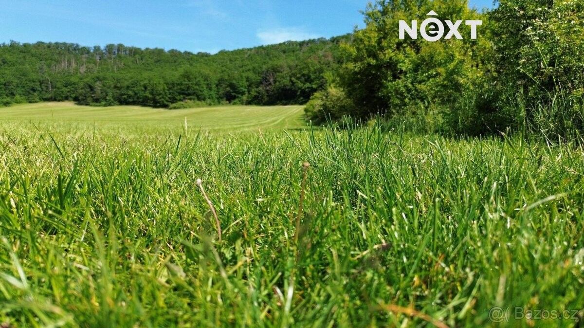 Lesy, Vráž u Berouna, 267 11, 3 149 m²