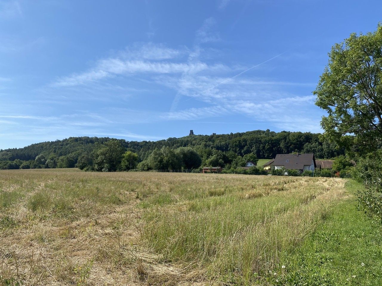 Ostatní, Borek, Hrubá Skála, 8 207 m²
