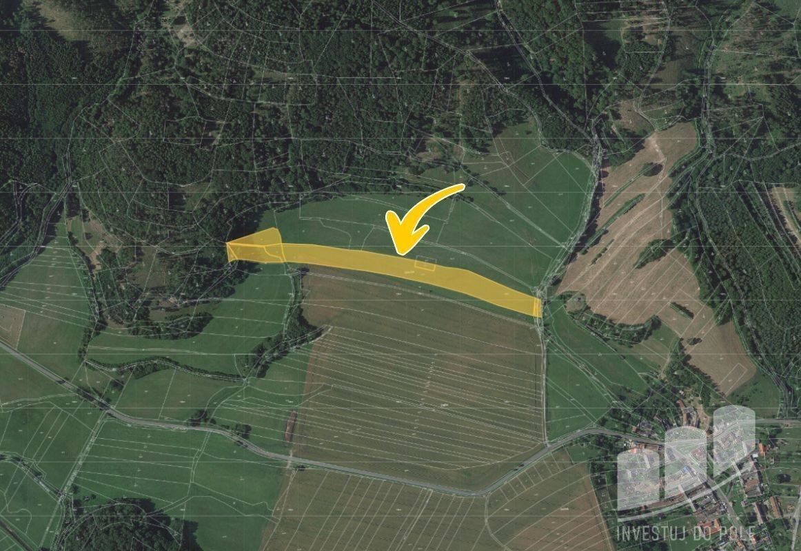 Prodej zemědělský pozemek - Vranová Lhota, 21 742 m²