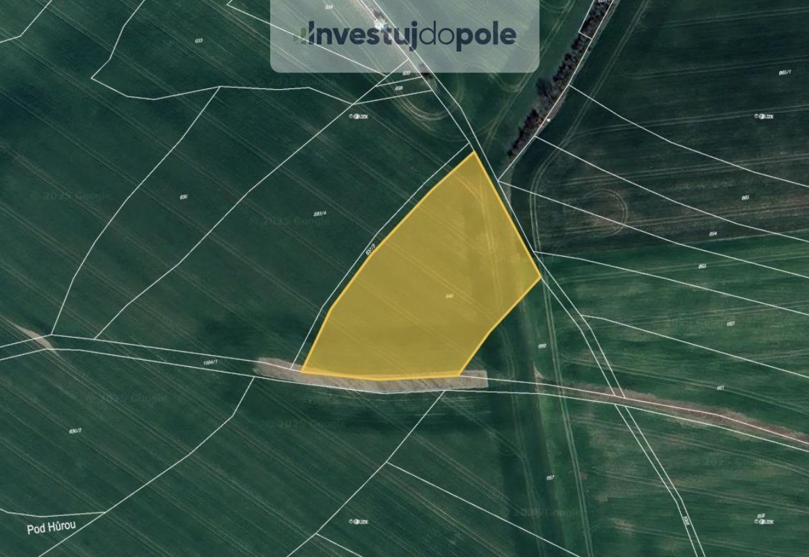 Prodej zemědělský pozemek - Všestary, 47 635 m²