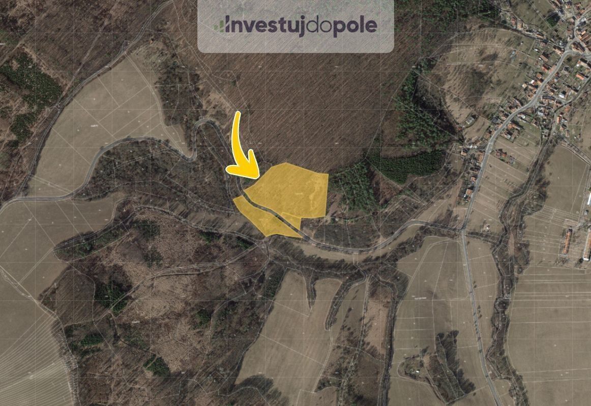 Prodej les - Přečkovice, Bojkovice, 29 768 m²