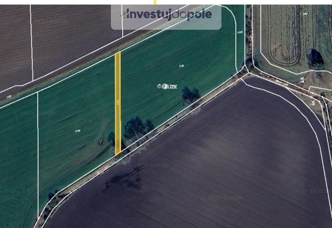 Prodej zemědělský pozemek - Choťovice, 6 966 m²