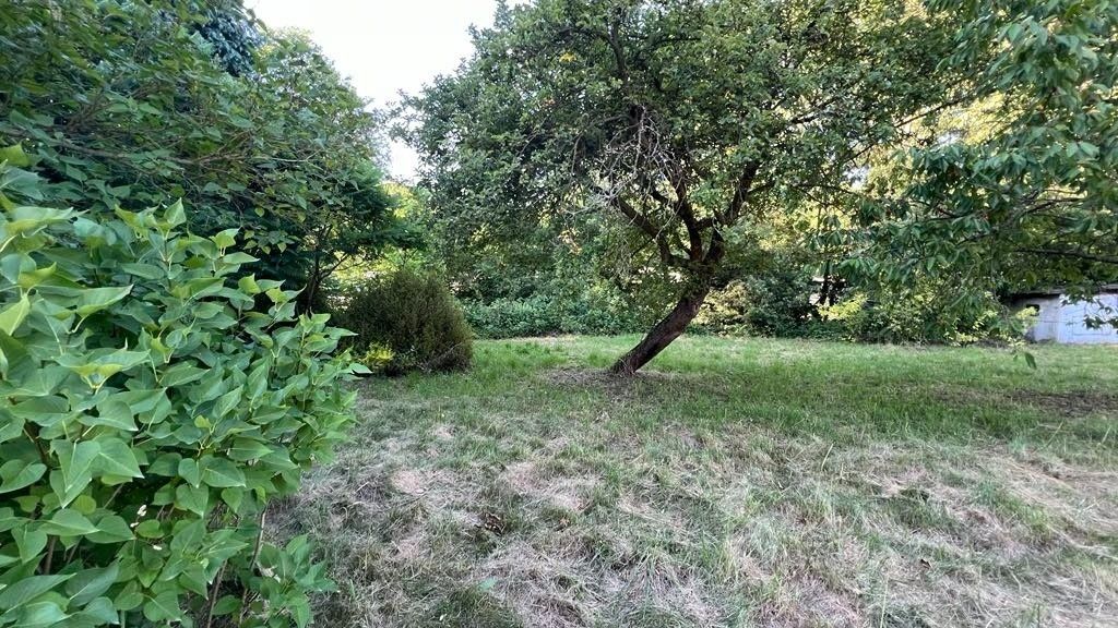 Prodej pozemek pro bydlení - Olšany u Šumperka, 789 62, 924 m²