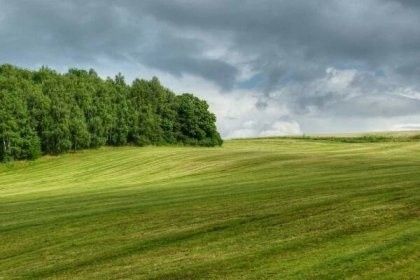 Ostatní, Jiřice u Miroslavi, 671 78, 1 600 m²