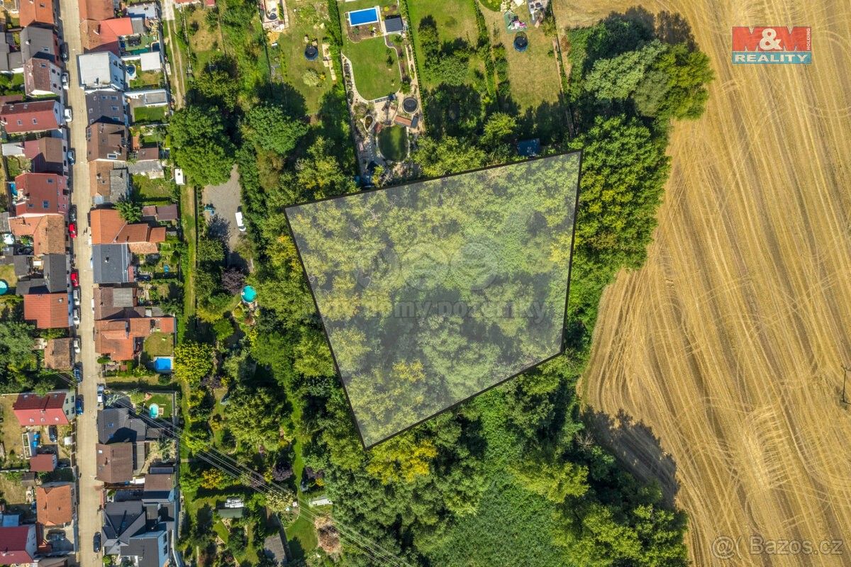 Prodej les - Kostelec nad Labem, 277 13, 10 056 m²