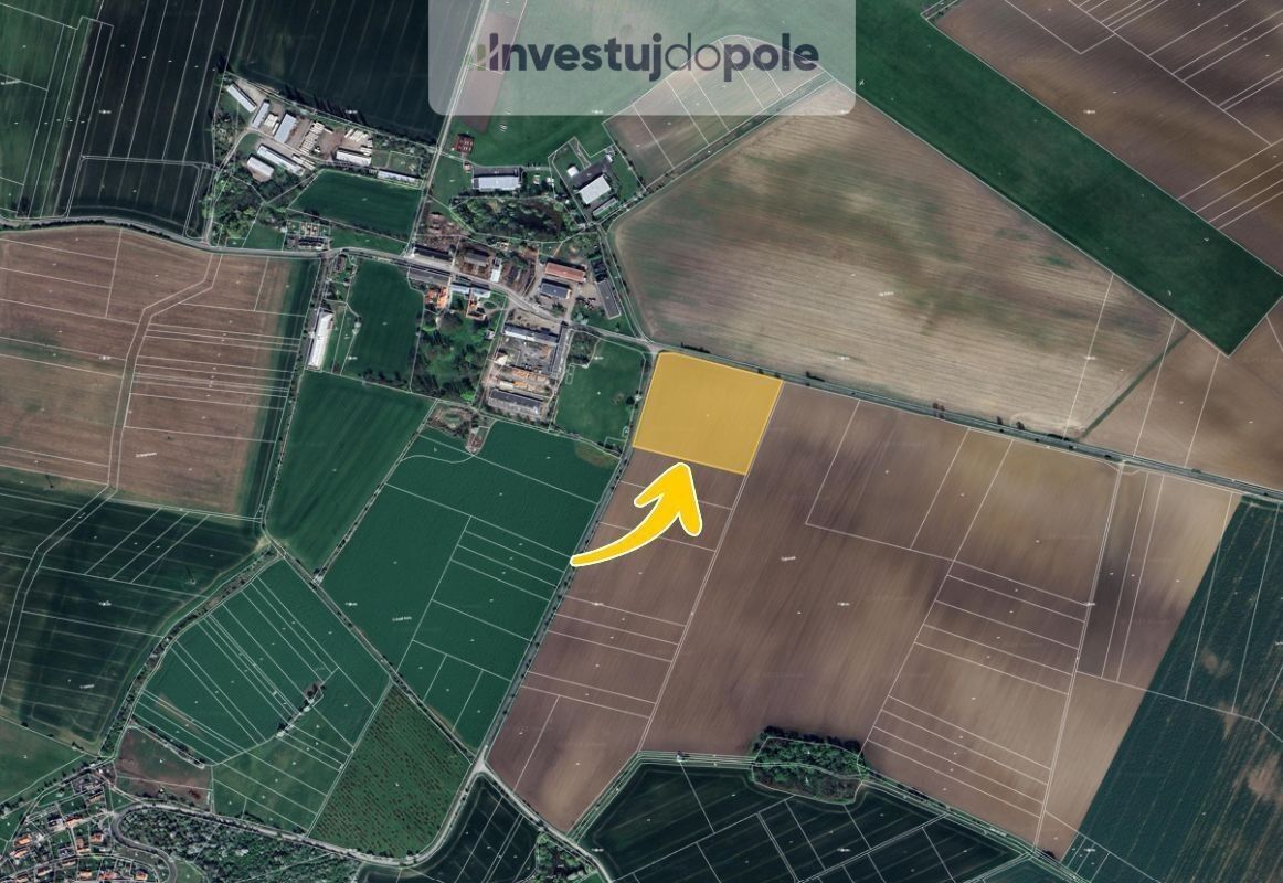 Prodej zemědělský pozemek - Šlikova Ves, Podhradí, 7 256 m²