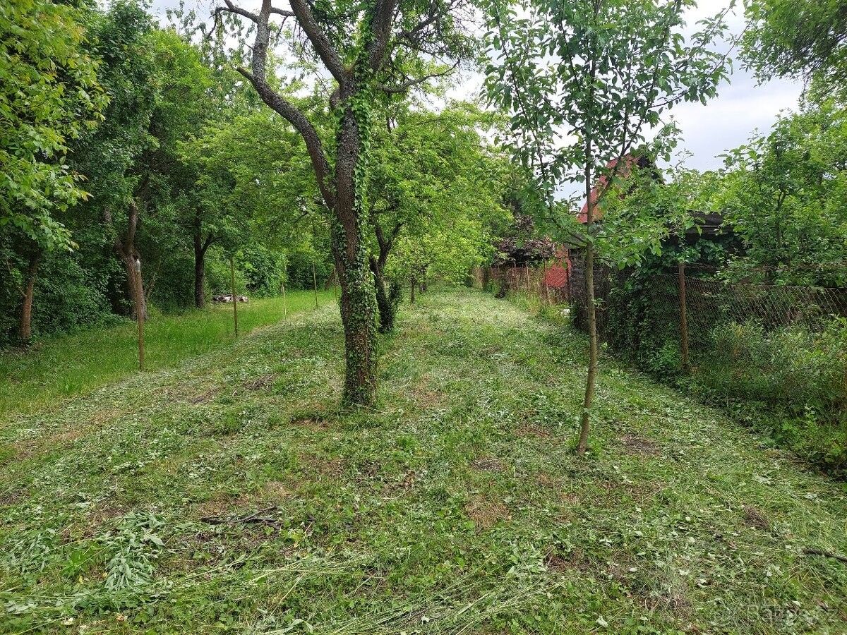 Zahrady, Brno, 614 00, 885 m²