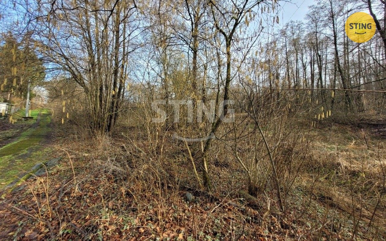 Ostatní, Bezručova, Orlová, 1 284 m²