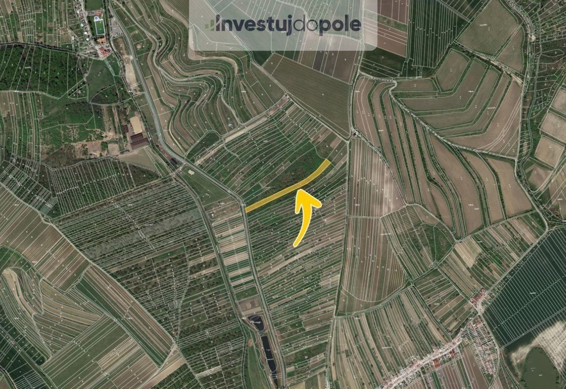 Prodej louka - Němčičky, 3 570 m²