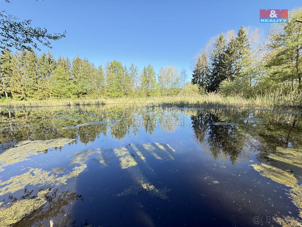 Prodej pozemek - Rychnov nad Kněžnou, 516 01, 5 965 m²