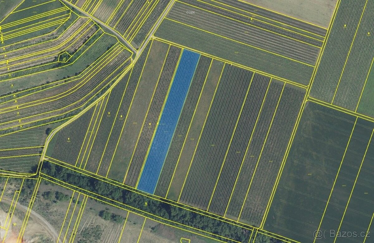 Prodej zemědělský pozemek - Novosedly na Moravě, 691 82, 9 947 m²