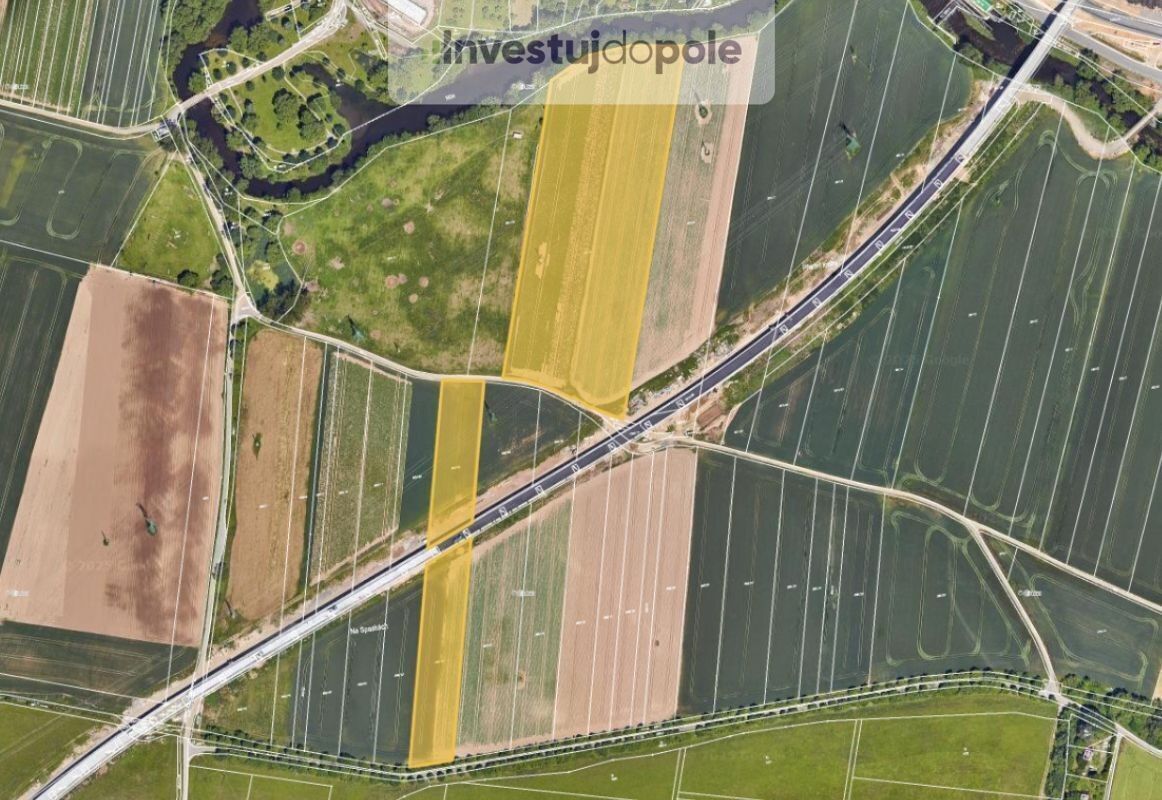 Zemědělské pozemky, Plzeň 7-Radčice, Plzeň, 3 005 m²