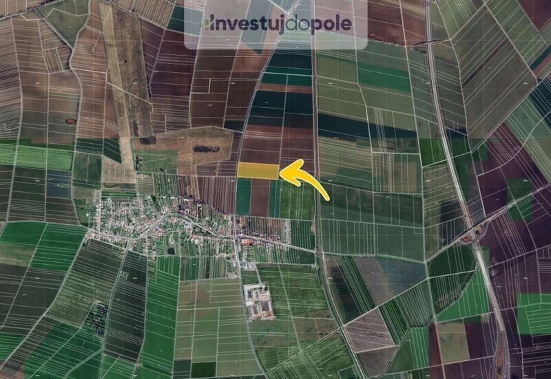 Prodej zemědělský pozemek - Břest, 768 23, 19 145 m²