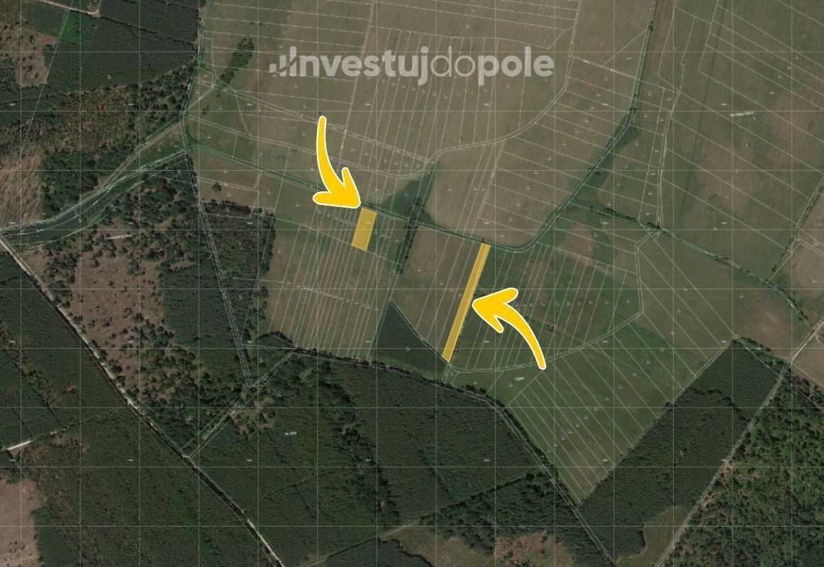 Prodej louka - Kolesa, Kladruby nad Labem, 2 604 m²