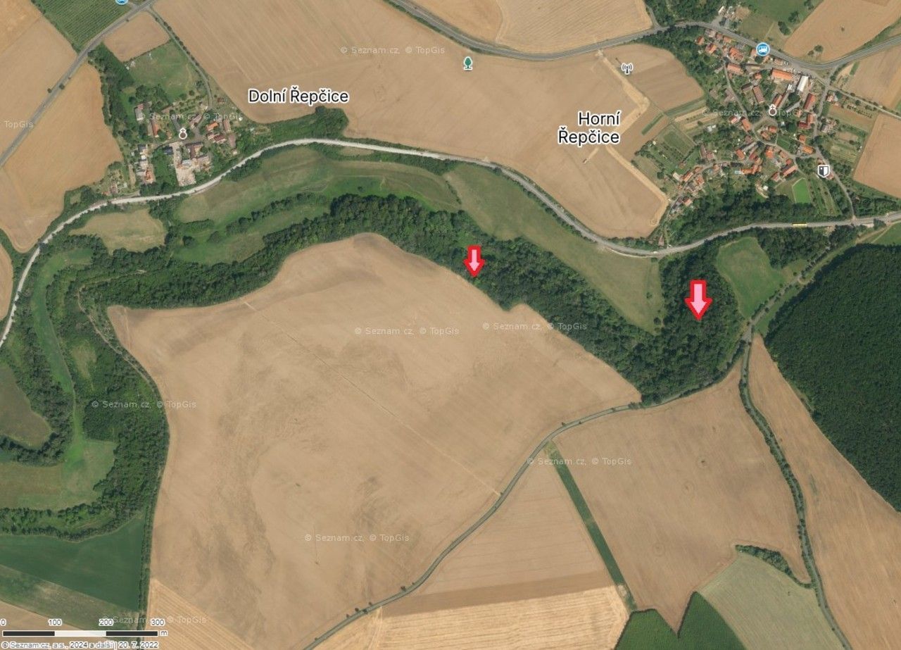 Prodej les - Horní Řepčice, 17 720 m²