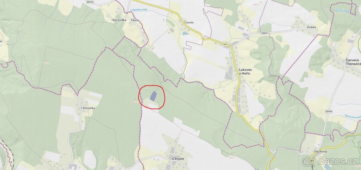 Prodej les - Hořice v Podkrkonoší, 508 01, 11 250 m²