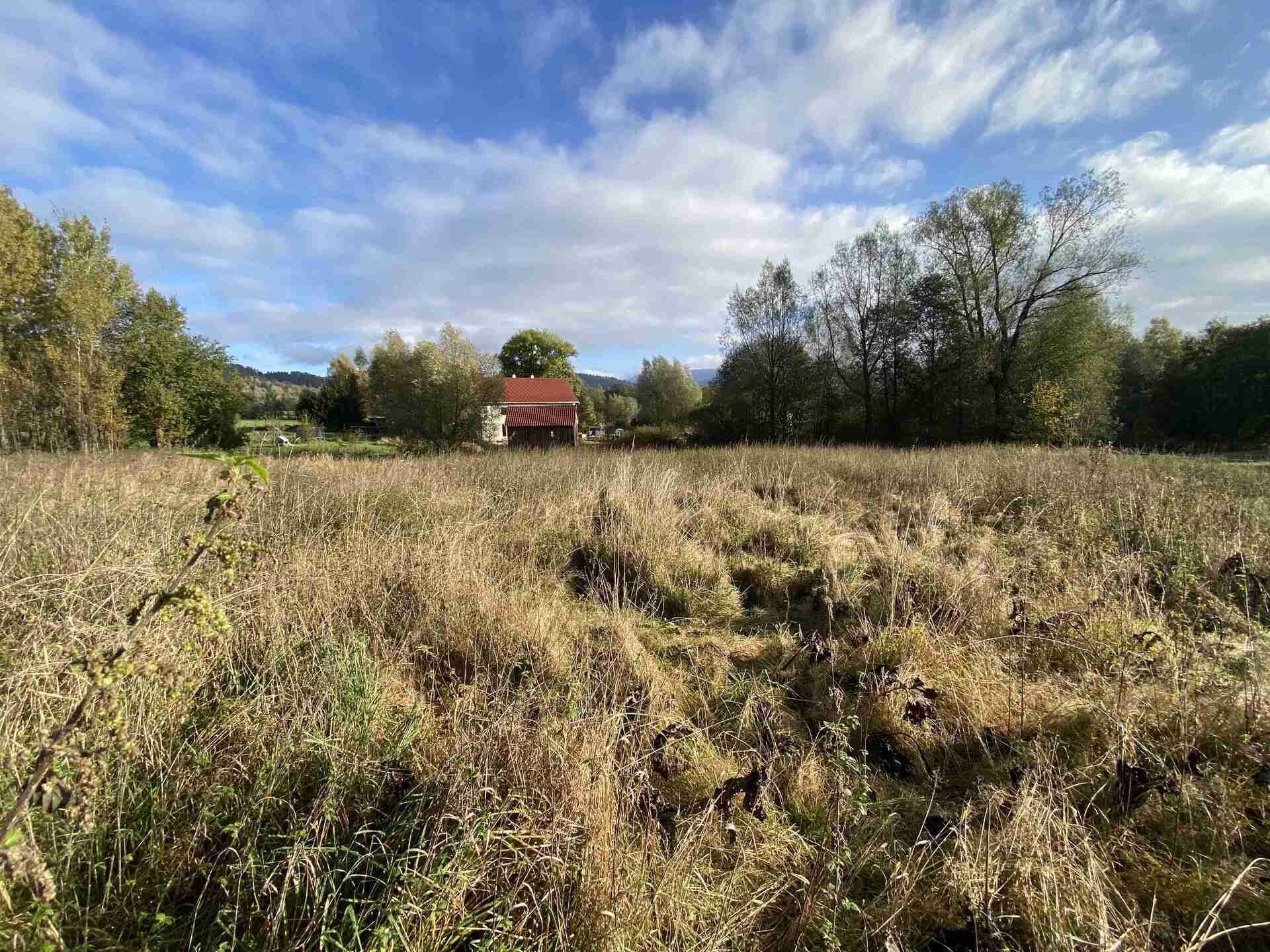 Pozemky pro bydlení, Horní Lipka, Králíky, 3 207 m²