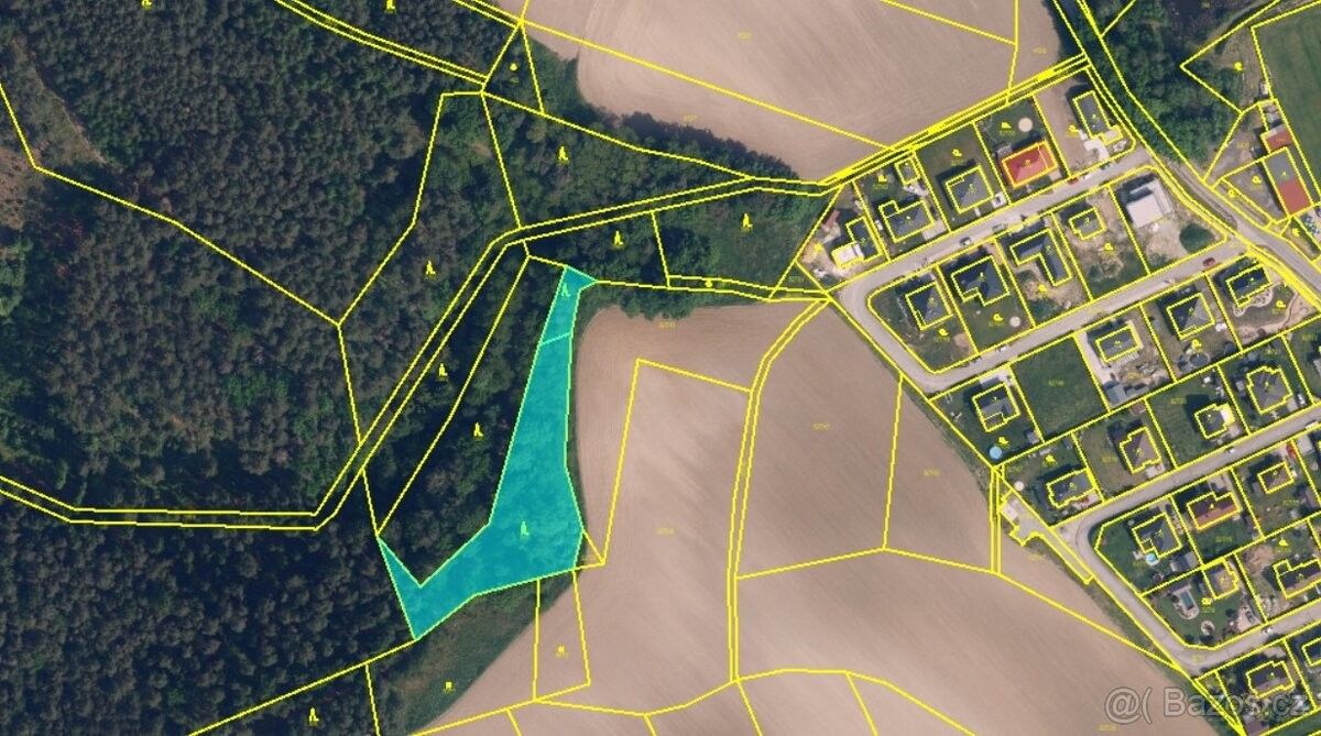 Prodej les - Jivina u Mnichova Hradiště, 294 14, 3 138 m²