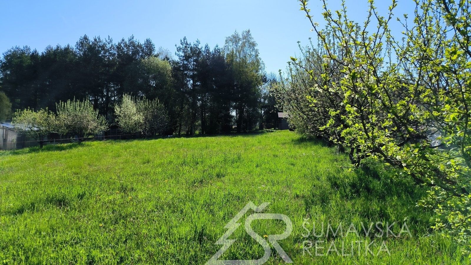 Pozemky pro bydlení, Nepomucká, Plánice, 1 100 m²