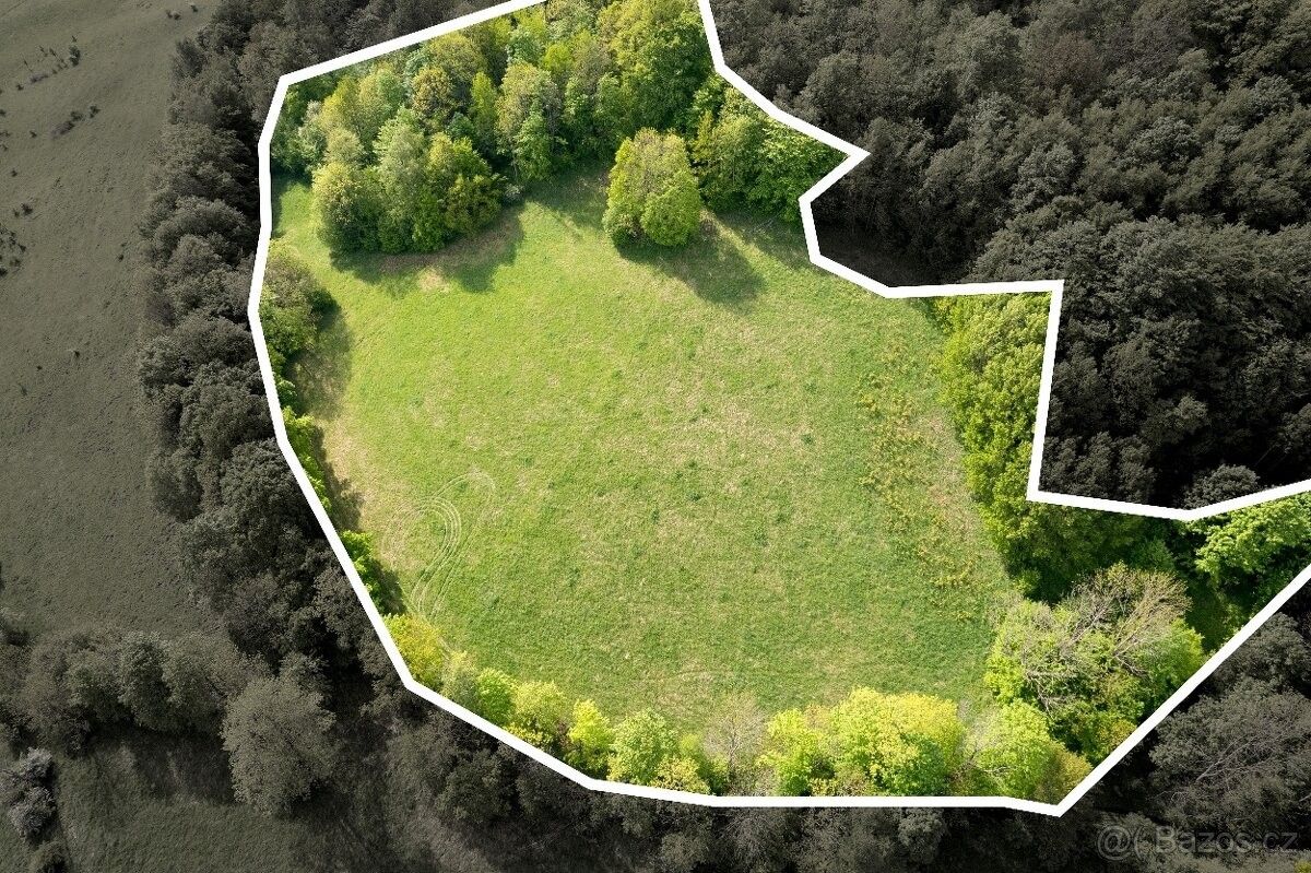Prodej louka - Děčín, 405 02, 27 274 m²