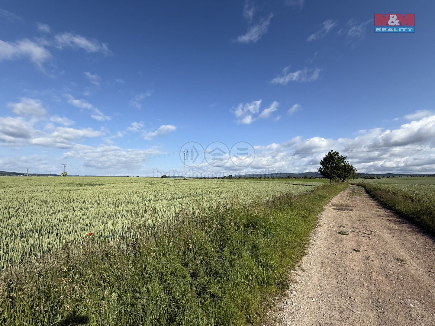 Zemědělské pozemky, Skuhrov, Rožmitál pod Třemšínem, 11 877 m²
