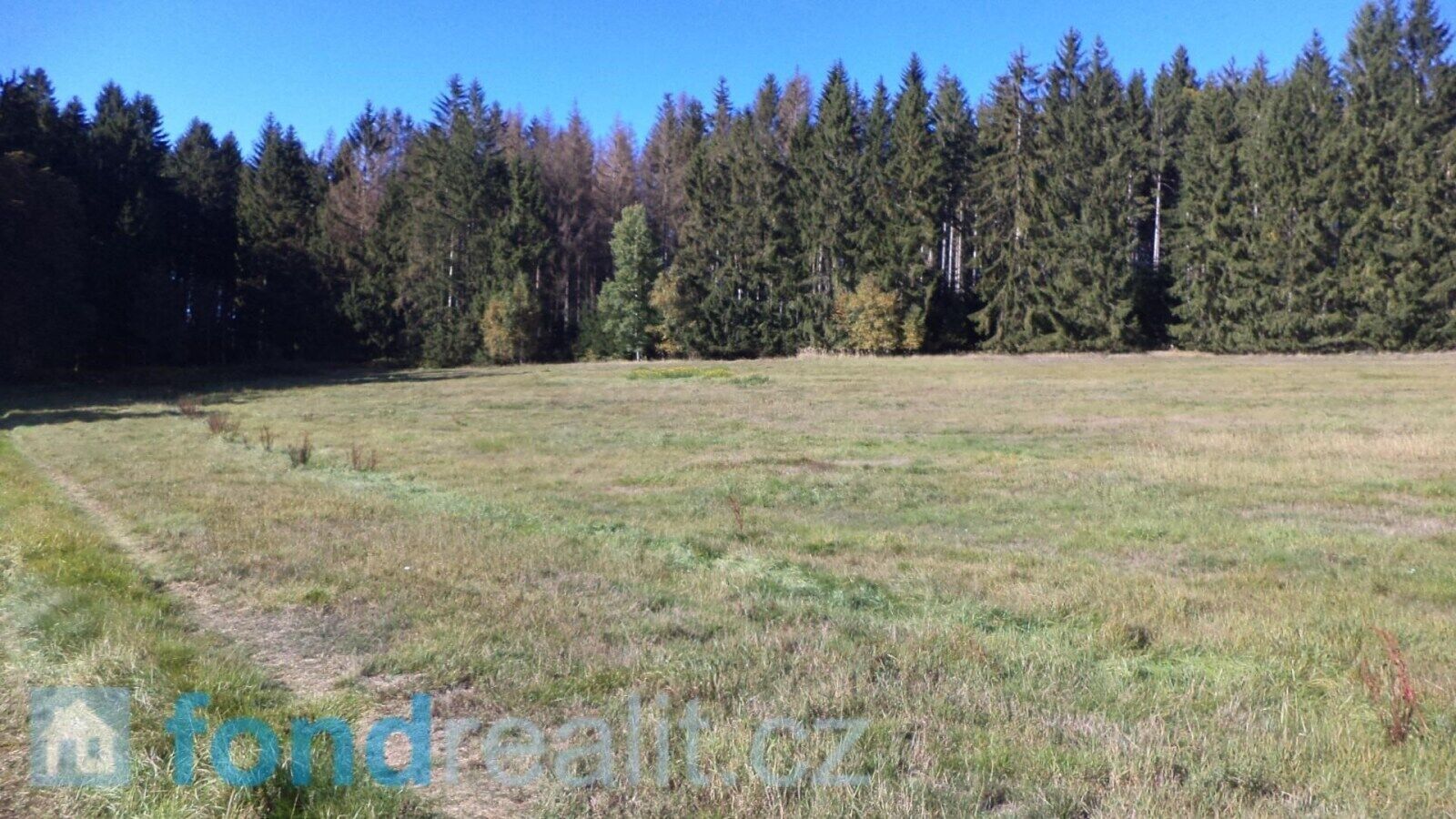 Prodej pozemek - Studená, 4 992 m²