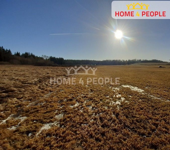 Louky, Černá v Pošumaví, 11 835 m²