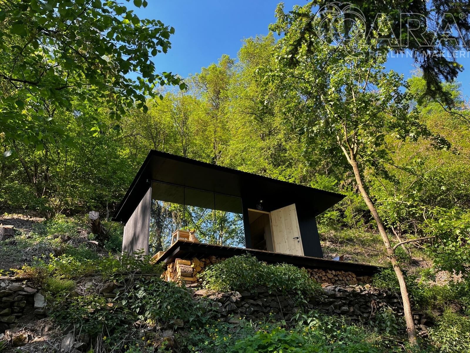 Prodej les - Štěchovice, 8 586 m²